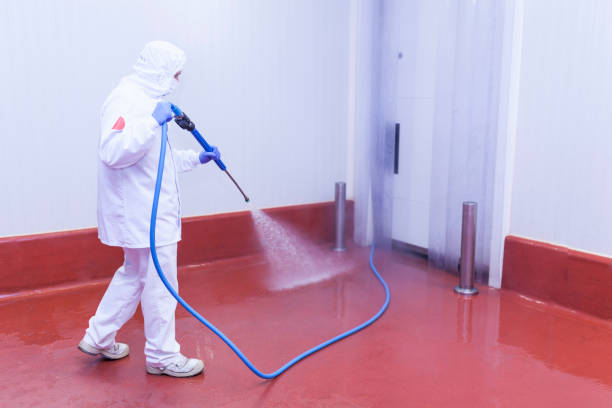 Best Building Exterior Washing  in Friendswood, TX